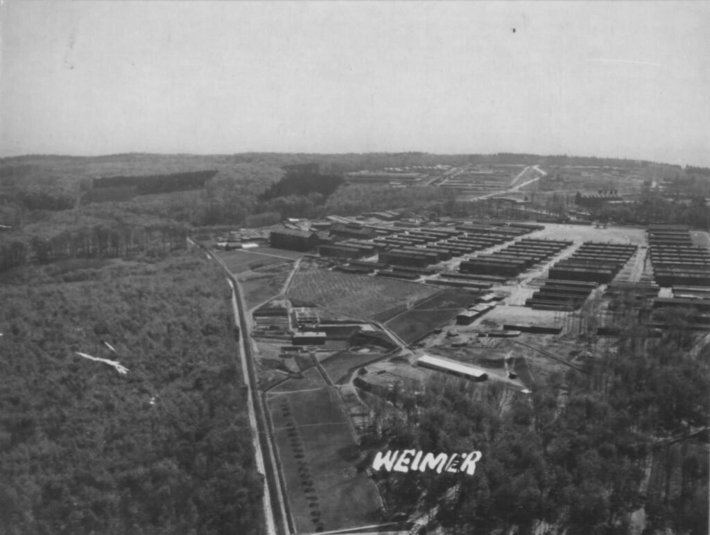 Luftaufnahme Buchenwald