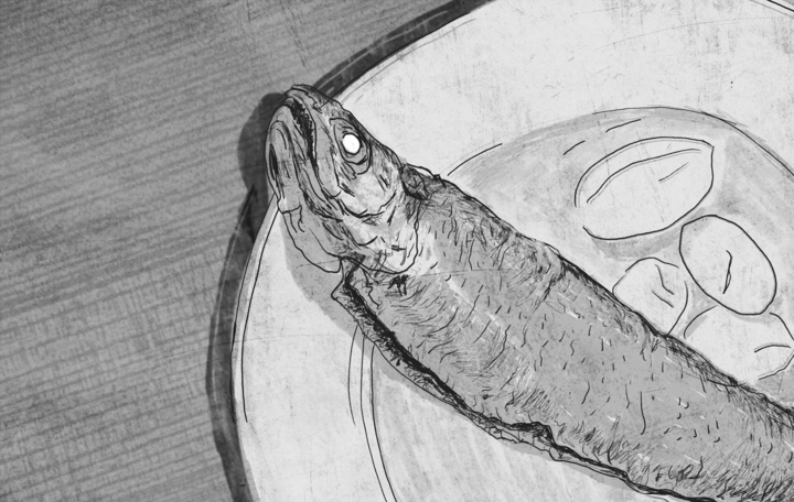 08_verhoer_forelle_720