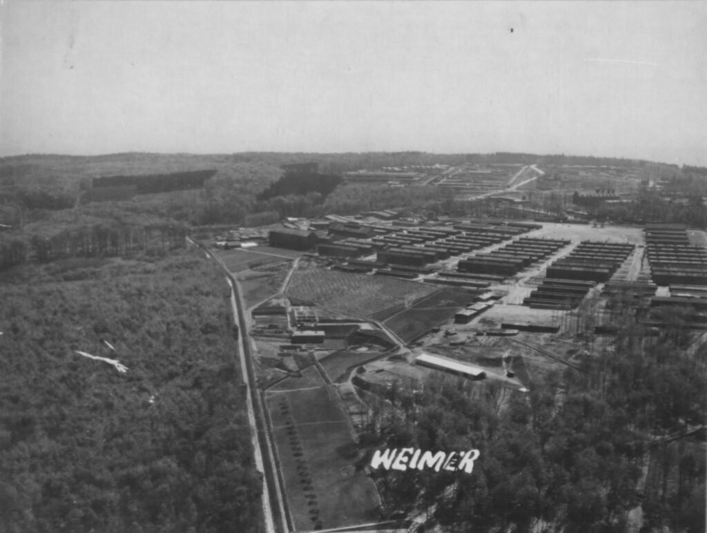 Luftaufnahme Buchenwald